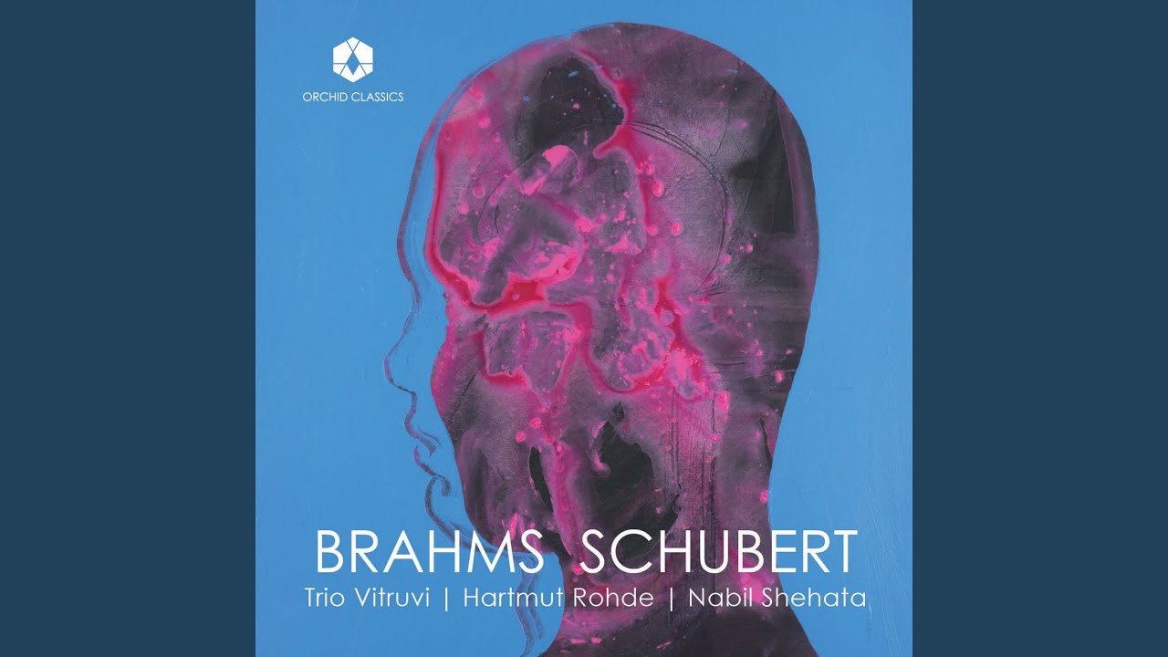 Guarda Piano Quartet No. 3 in C Minor, Op. 60 "Werther": III. Andante su YouTube