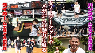 MMA探訪記〜タイ編 01〜タイ・プーケットのメガジムの魅力に迫る