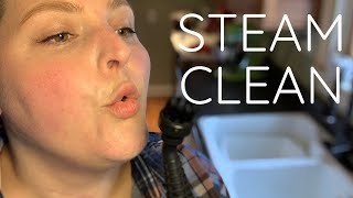 Steam cleaning wood floors with a PRO + review and introduction to Dupray Neat Steam Cube