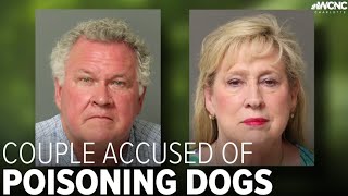 Celebrity Wake County couple accused of poisoning dogs Wealth