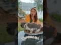 Oh My God! The Cat Got Stuck in Heavy Rain 😱 | Funny Cartoon Story#usa #usashorts #shortstory