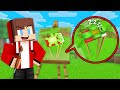 JJ use DRAWING MOD to Prank Mikey in Minecraft (Maizen)