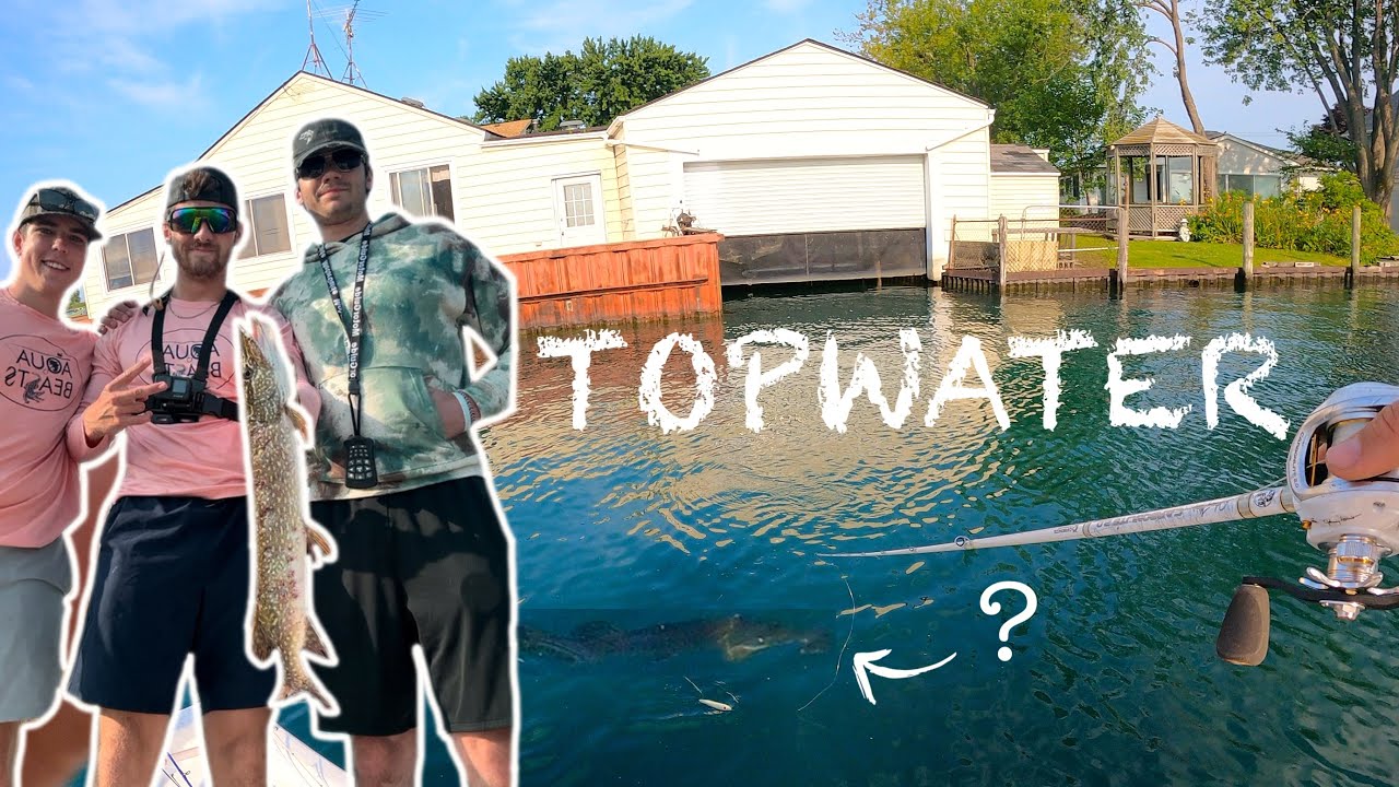 INSANE TOPWATER action Fishing Lake St Clair (Part 3)