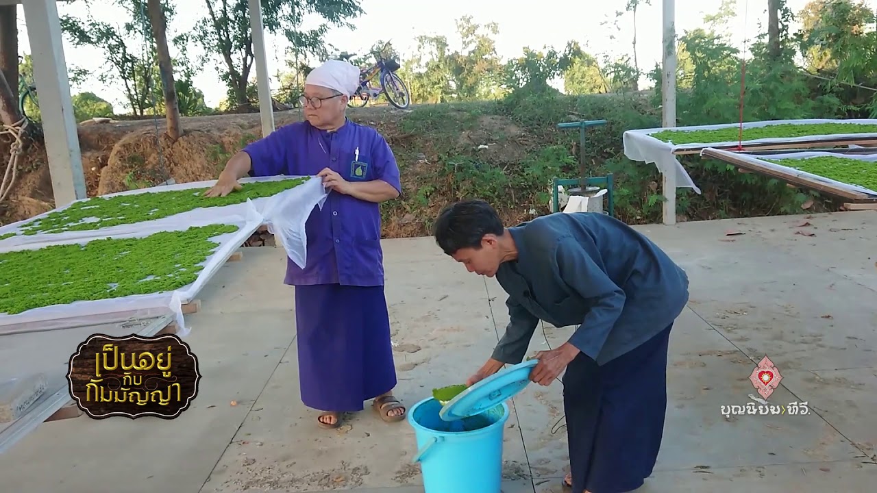 เป็นอยู่กับกัมมัญญา ตอนสิ่งเล็กเล็กที่เรียกว่าผำ และการแปรรูปผำที่บวรราชธานีอโศก