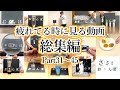 【おさんぽ総集編】疲れてる時に見る動画 Part31～45 thumbnail