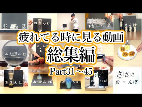 【おさんぽ総集編】疲れてる時に見る動画 Part31～45