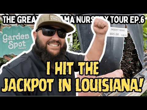 I Got SO LUCKY in Louisiana! | The Great Alabama Nursery Tour Ep. 6 - The Garden Spot - Slidell, LA!