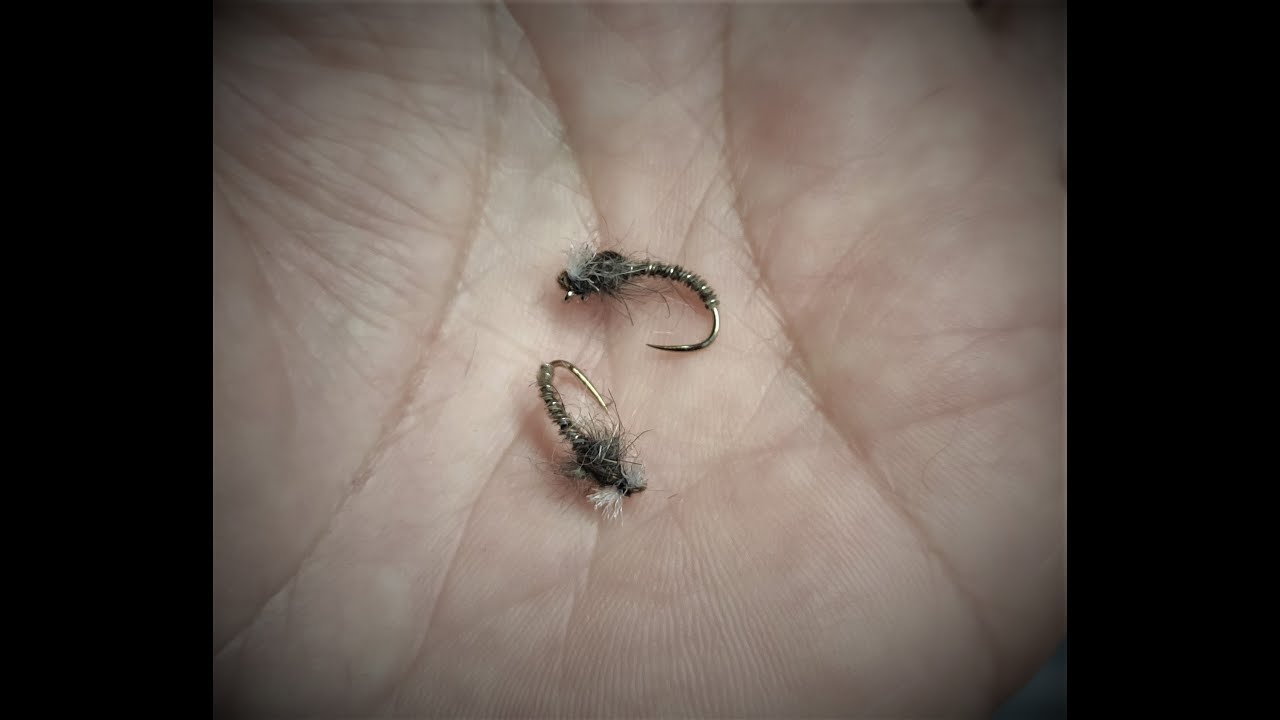 Emergetente Quironomido