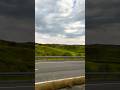 happiness love