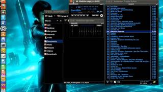 Ubuntu 11.04 64bit Unity With Compiz 3D Cube And Effects