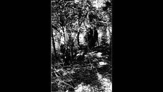 Forest Grave (UK) - Through Thickets And Trodden Paths (Demo) 2013