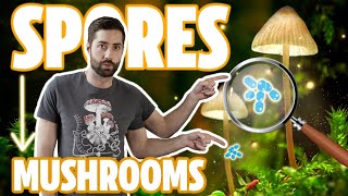 ♻️ Understanding The Mushroom Life Cycle - From Spores To Mycelium To Mushroom And Back Again!