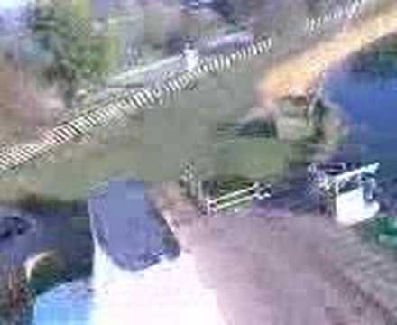 T Rex 450 se Crash With On-Board Video Camera