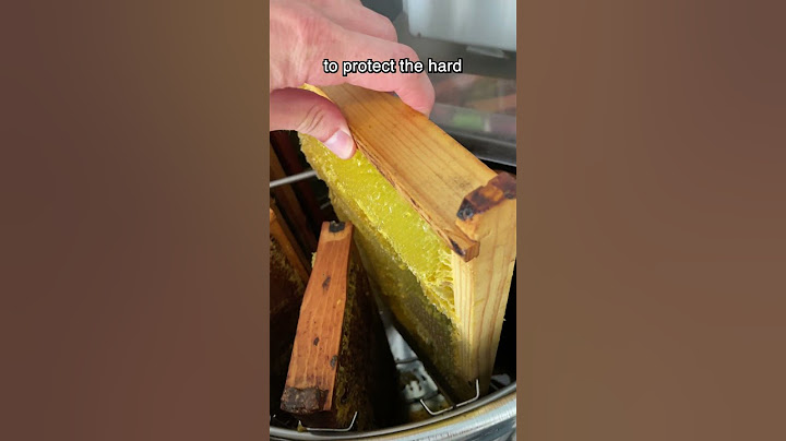 There's a reason for doing it this way #shorts #beekeeping #beekeeper #bees #honeybees #honey #comb