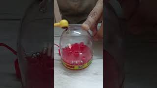Drop game #game#