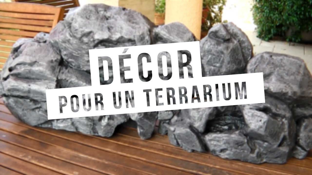 handelaar schreeuw gas TUTO - Fabrication d'un décor pour terrarium - YouTube