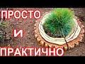 Бордюрчик из цемента своими руками.DIY cement border.Borde de cemento de bricolaje