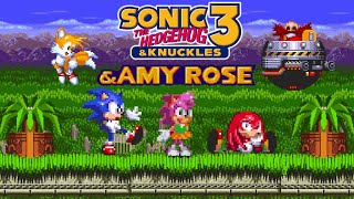 Sonic 3 & Knuckles Amy Rose Hack