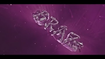 Braz Intro | by RaichuFX & Zer0 - @gbraz99 :)