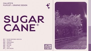 [playlist] - sugarcane