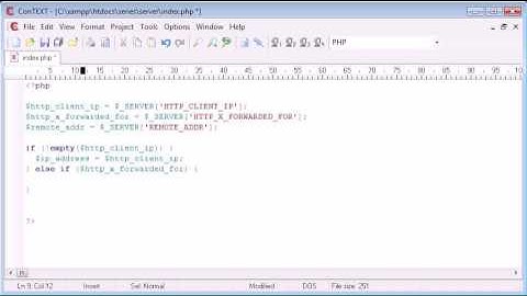 066   Better Way to Get Visitors IP Address