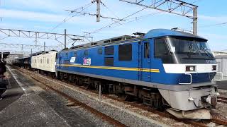 EF210-307[吹]+東急マニ50+伊豆急2100系「THE ROYAL EXPRESS」5両　四国･瀬戸内クルーズトレイン 琴平行き　善通寺駅発車　2024年2月2日撮影