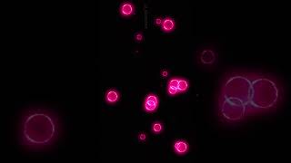 NightCore  | Audio Visualizer | Visuals With Python | #nightcore #visuals #shorts #shortsfeed