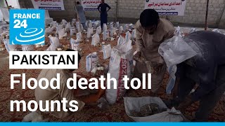 Massive relief effort under way as Pakistan flood death toll mounts • FRANCE 24 English