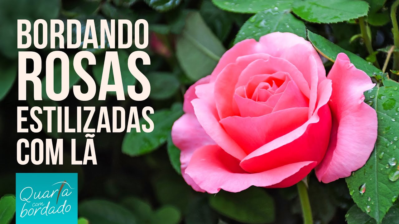 BORDANDO UMA ROSA ESLILIZADA com o Ponto Cheio com contorno - Quarta com bordado - Bel Postigo