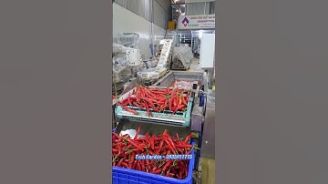 Máy Rửa Sục Khí TECH GARDEN (Rửa Ớt), LH: 0935911775 (Trần Trinh)