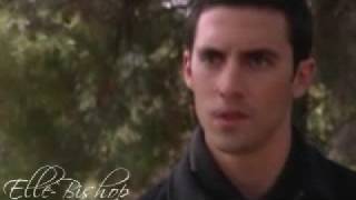 Peter + Elle And Sylar + Maya - The Sad Love Story