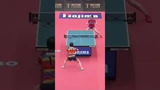 【ノジマTリーグ公式戦を好プレーで振り返り】日本ペイントマレッツ vs 木下アビエル神奈川 ノジマTリーグ2022-2023 2022年12月17日 #Shorts