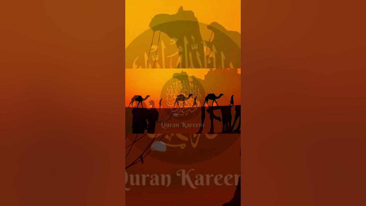 Hunting prohibited in Pilgrim Robe Surah Maaida 2 Urdu Hindi