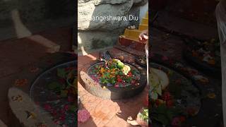 Gangeshwara 🙏🌅 #devotional #pilgrimage #mahadev #shiv #shiva #shorts #shivshankar #shortvideo