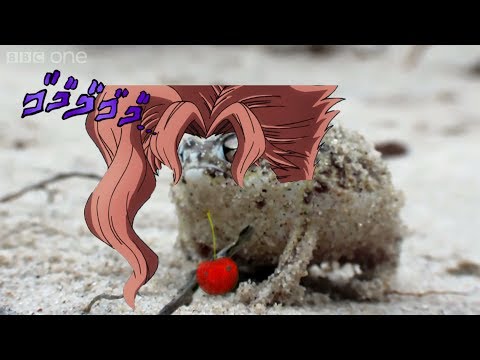 angry-squeaking-kakyoin