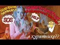 SOS! Блондинка в КУРЯТНИКЕ. Как приготовить легкие закуски на новогодний стол?