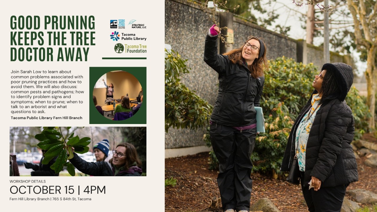 Good Pruning Keeps the Tree Doctor Away | October 15, 2025