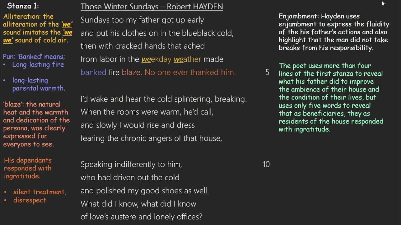 Those winter sundays robert hayden detailed analysis and video