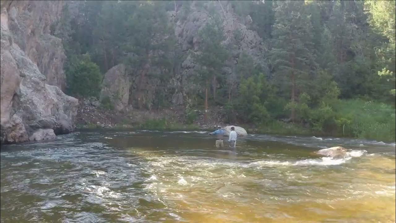Fly Fishing Estes Park Colorado YouTube