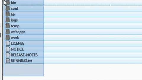 Spring Flex 04 - Installing Tomcat Part 1