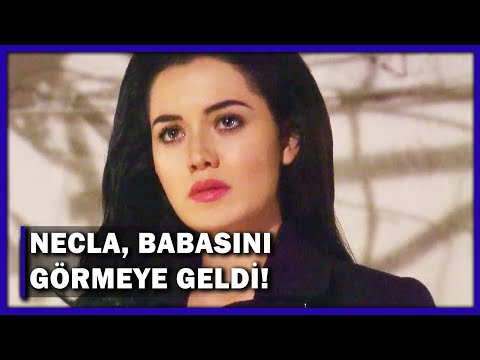 Necla, Babasını Görmeye Geldi! - Yaprak Dökümü 166.Bölüm