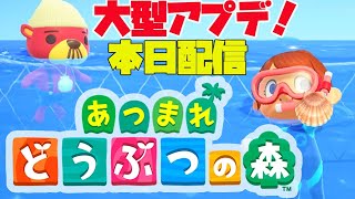 【あつ森】アプデきた！ラコスケ！?海開きだ！！海の幸だ！【あつまれどうぶつの森】