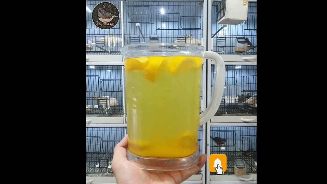 علاج طبيعي لنزلات البرد