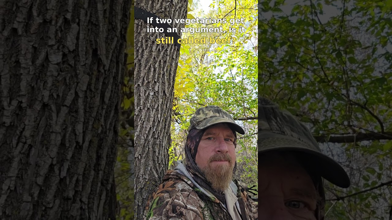 RandomThoughts FromTreestand: Ep 2 — Shower Thoughts