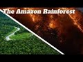 What is happening with the Amazon Rainforest?