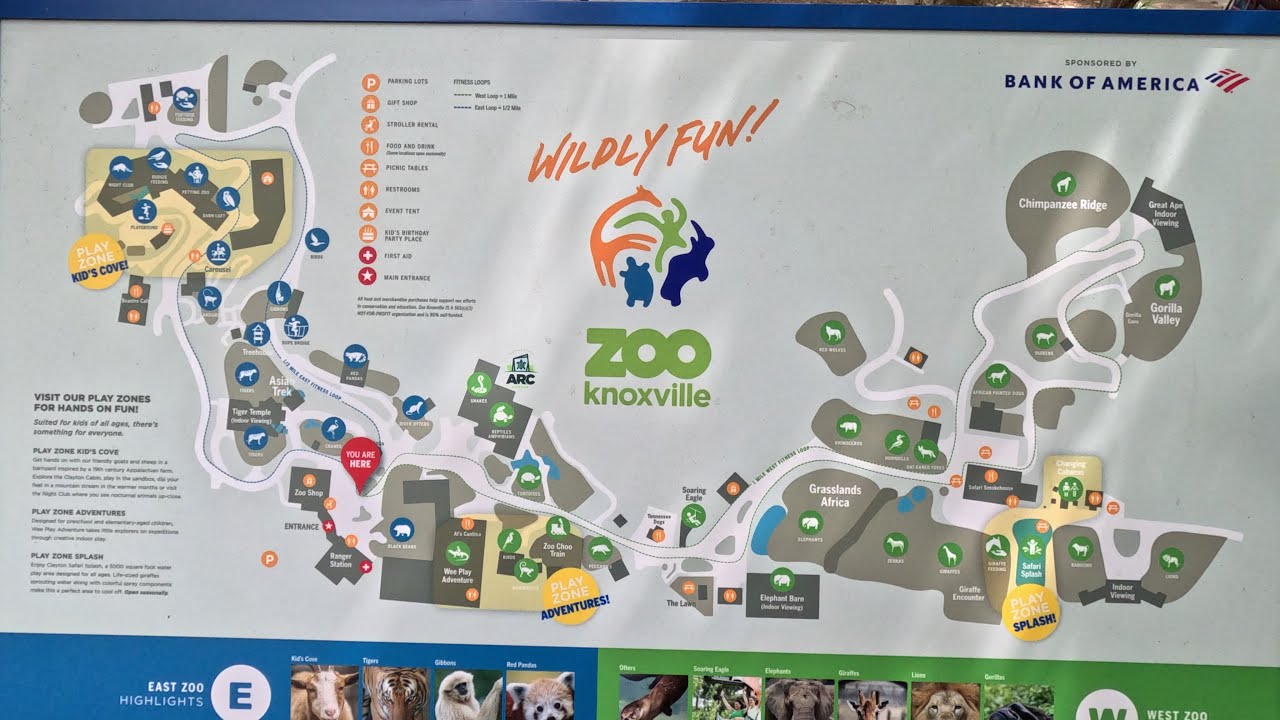 Knoxville Zoo - YouTube