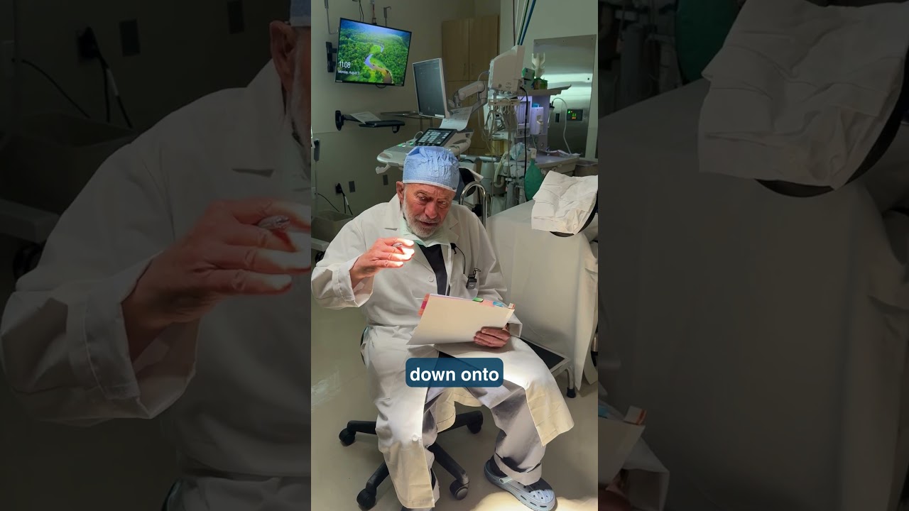 IFC  Embryo Transfer