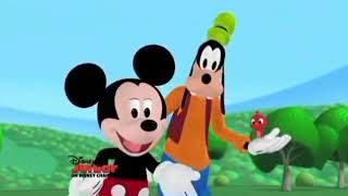 Goofys Bird Oh Toodles