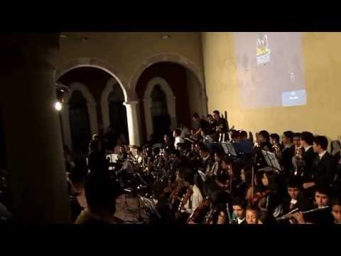Orquesta Juvenil prof.