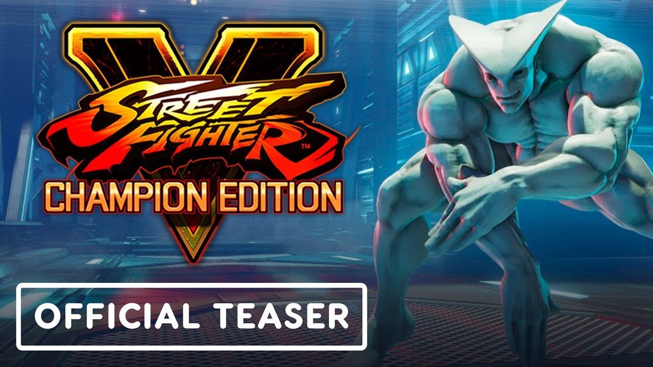 Street Fighter 5's New DLC Character Release Date Confirmed, See